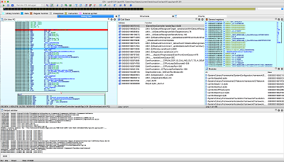 IOS Debugger screenshot